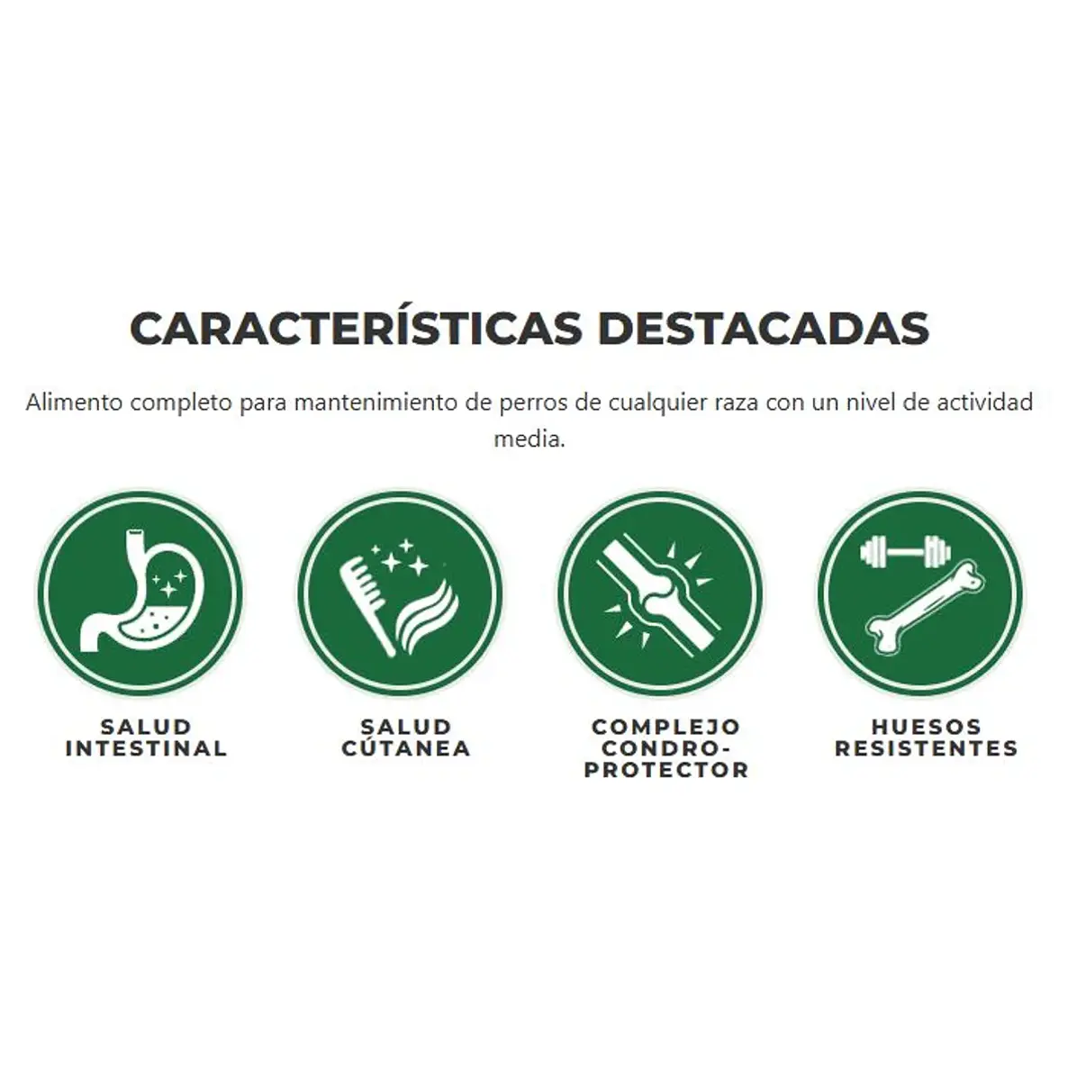 Canun Terra Supremus Cordero 18 kg | Alimento Premium Español 3