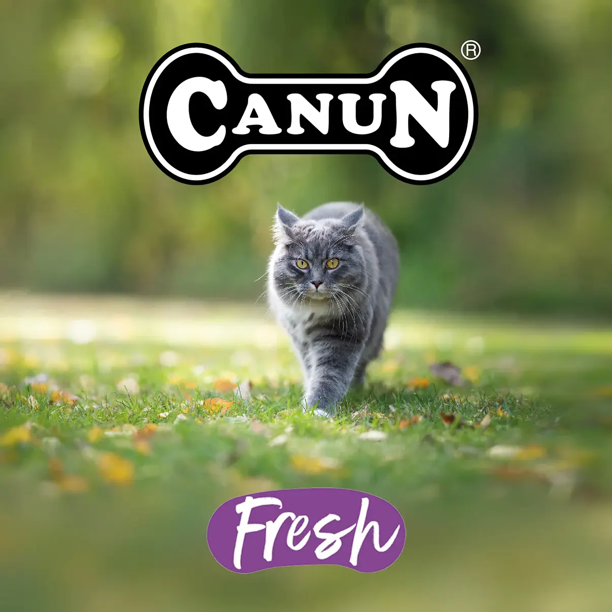 Canun Fresh Cat Sterilized 1.5 kg | Gatos Esterilizados Libre de Granos 🇪🇸😸 4