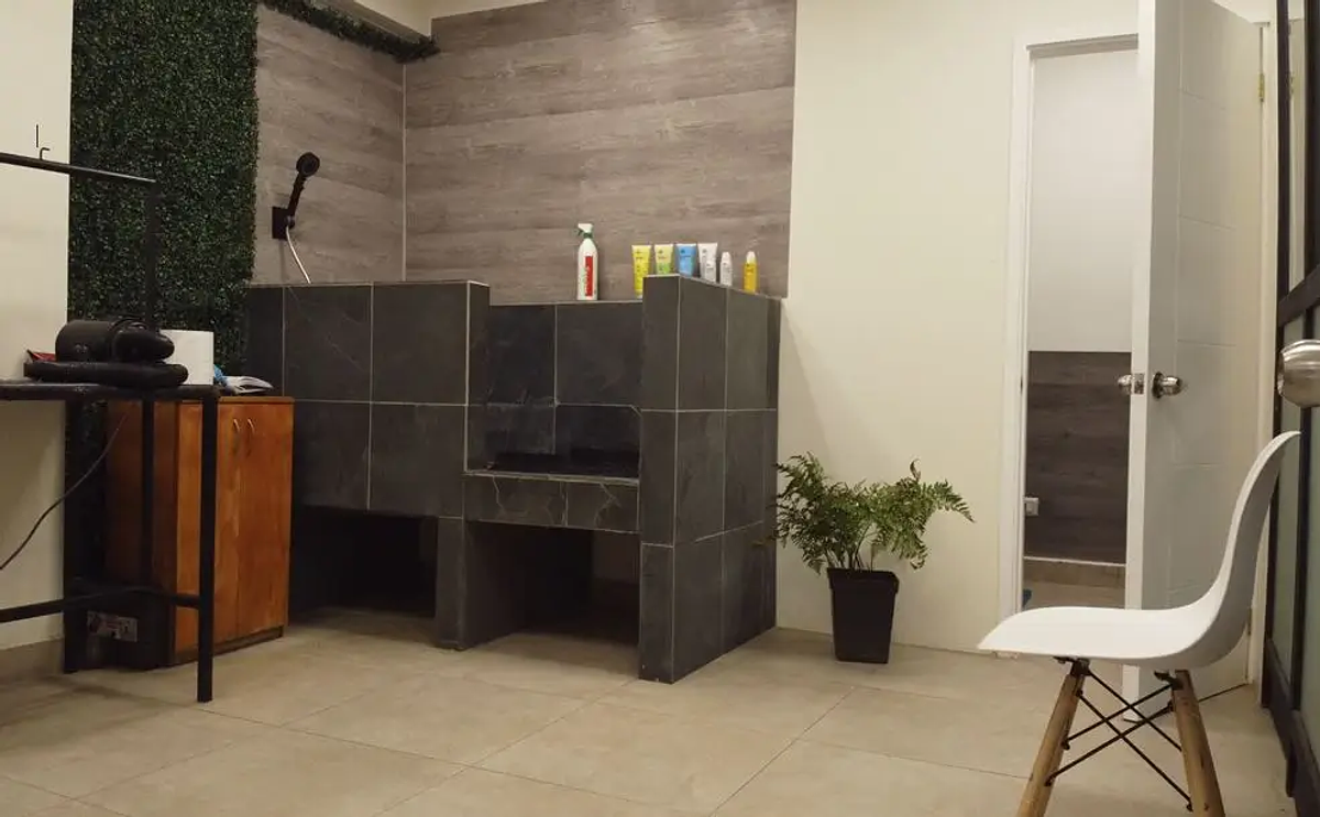 Peluquería Canina Puertas Abiertas