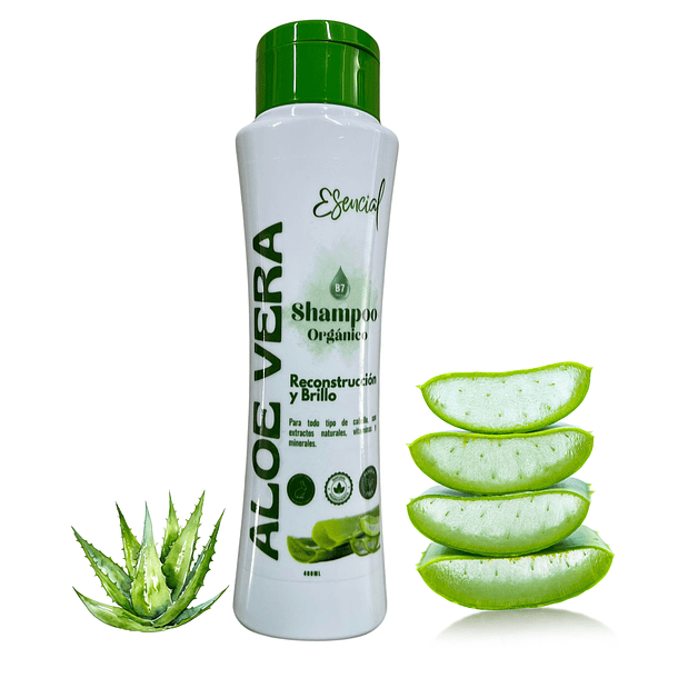 Shampoo de Aloe Vera - Orgánico 