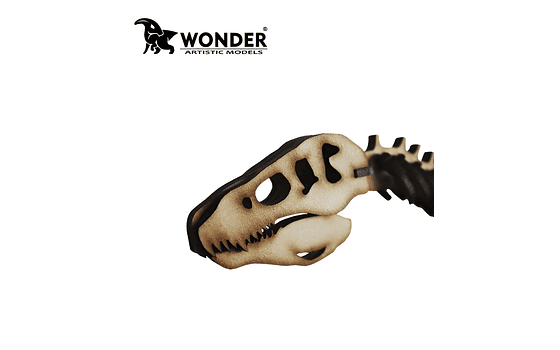 Wonder - Tiranosaurio Rex