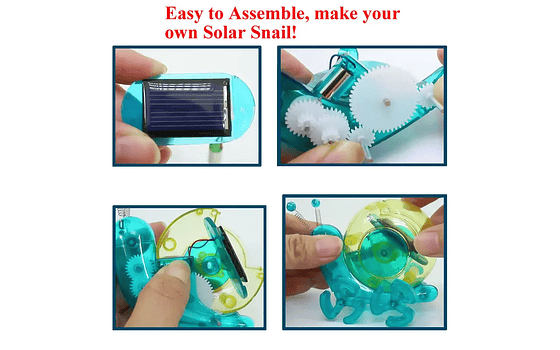 Caracol Solar- Colegios