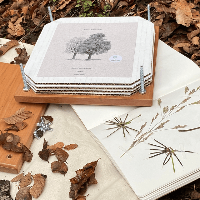 Prensa floral de madera nativa con cuaderno botánico