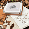 Prensa floral de madera nativa con cuaderno botánico