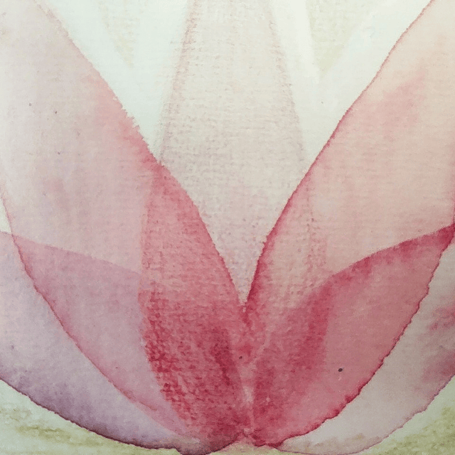 Primera Consulta Ayurveda Online