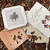 Prensa floral de madera nativa con cuaderno botánico