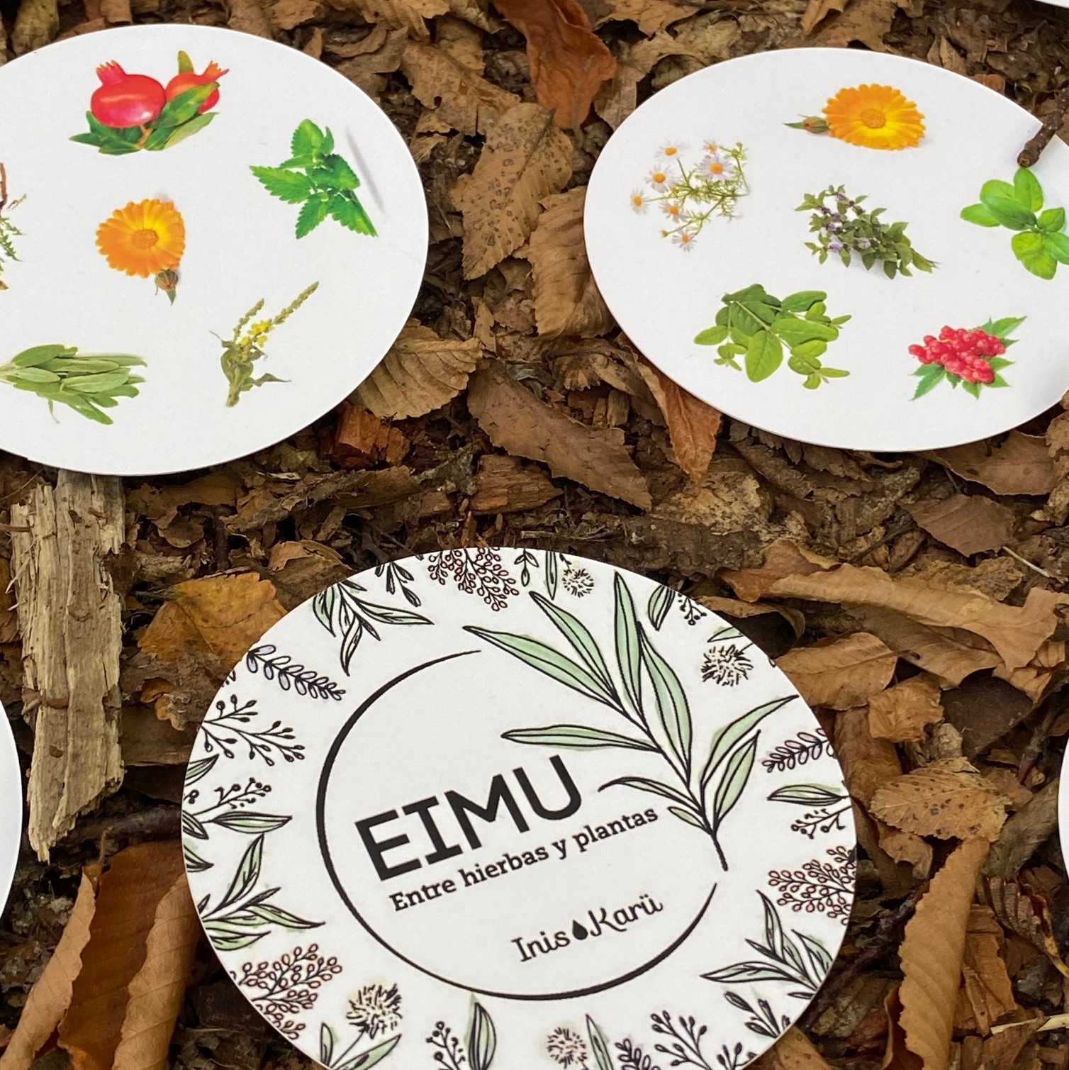 EIMU - si ya lo tienes, acá recopilamos mas información de las hierbas y plantas del juego.