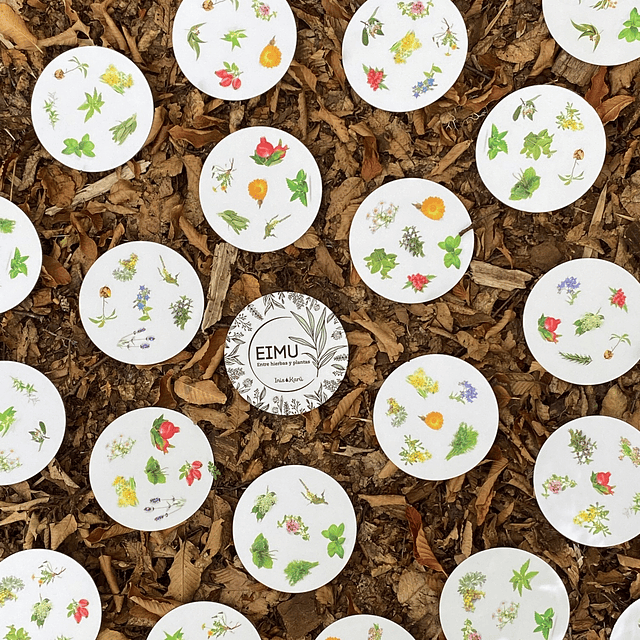 EIMU - el juego de cartas - Entre hierbas y plantas medicinales