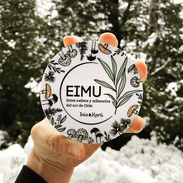 EIMU - El juego de cartas - Entre nativos y milenarios del sur de Chile