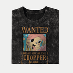 Chopper Wanted🐾🏴‍☠️💰