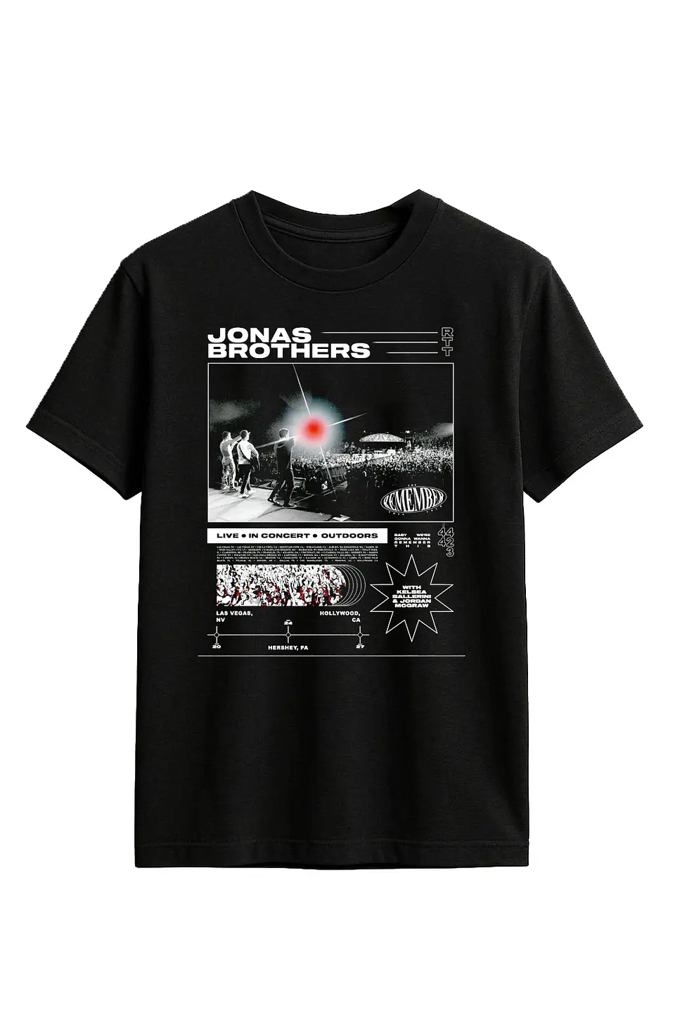 Polera - Jonas Brothers 1