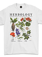 Polera Harry Potter / Herbology Premium - Miniatura 3