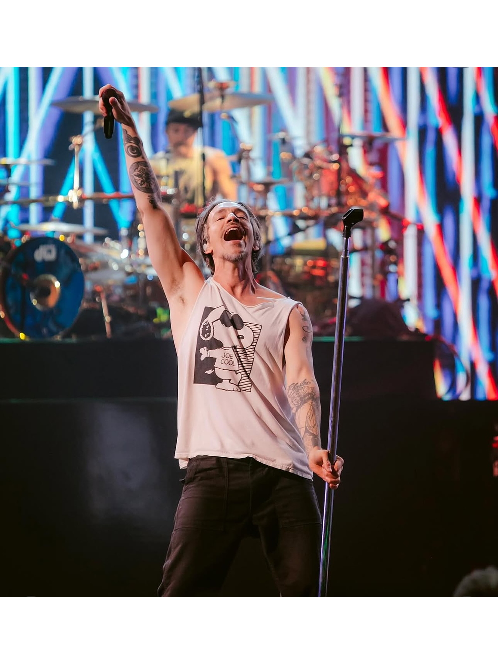 Polera Snoopy Joe Cool / Incubus Brandon Festival de Viña- COPIAR 3