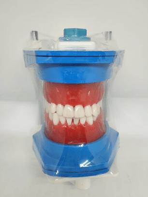 Tipodont De Plastico Odonthomak