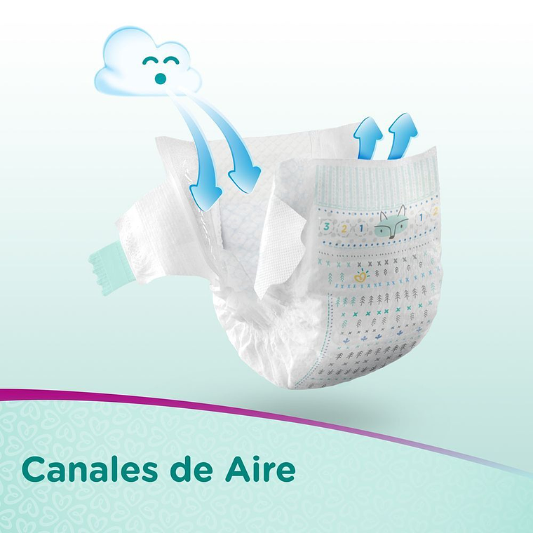 Pampers Premium Care G (9-13 Kg) 6