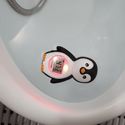 Termómetro de baño Pingüino