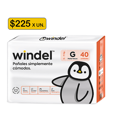 Windel G 40 unidades