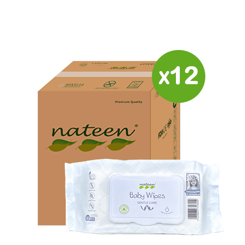 Caja Toallitas Húmedas Nateen 12x80
