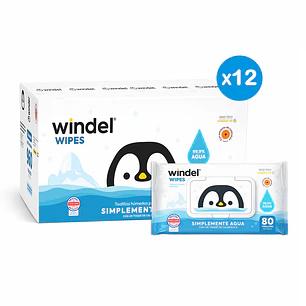 Toallitas Húmedas Windel Wipes Caja 12x80 | 99,9% Agua