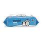 Toallitas Húmedas Windel Wipes Caja 6x80 uds. | 99,9% Agua - Miniatura 4