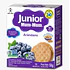 Junior Mum-Mum Arándano 58gr