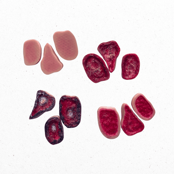 Simulador región sacra y glúteos con lesiones por presión  4