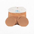 simulador punción lumbar 4