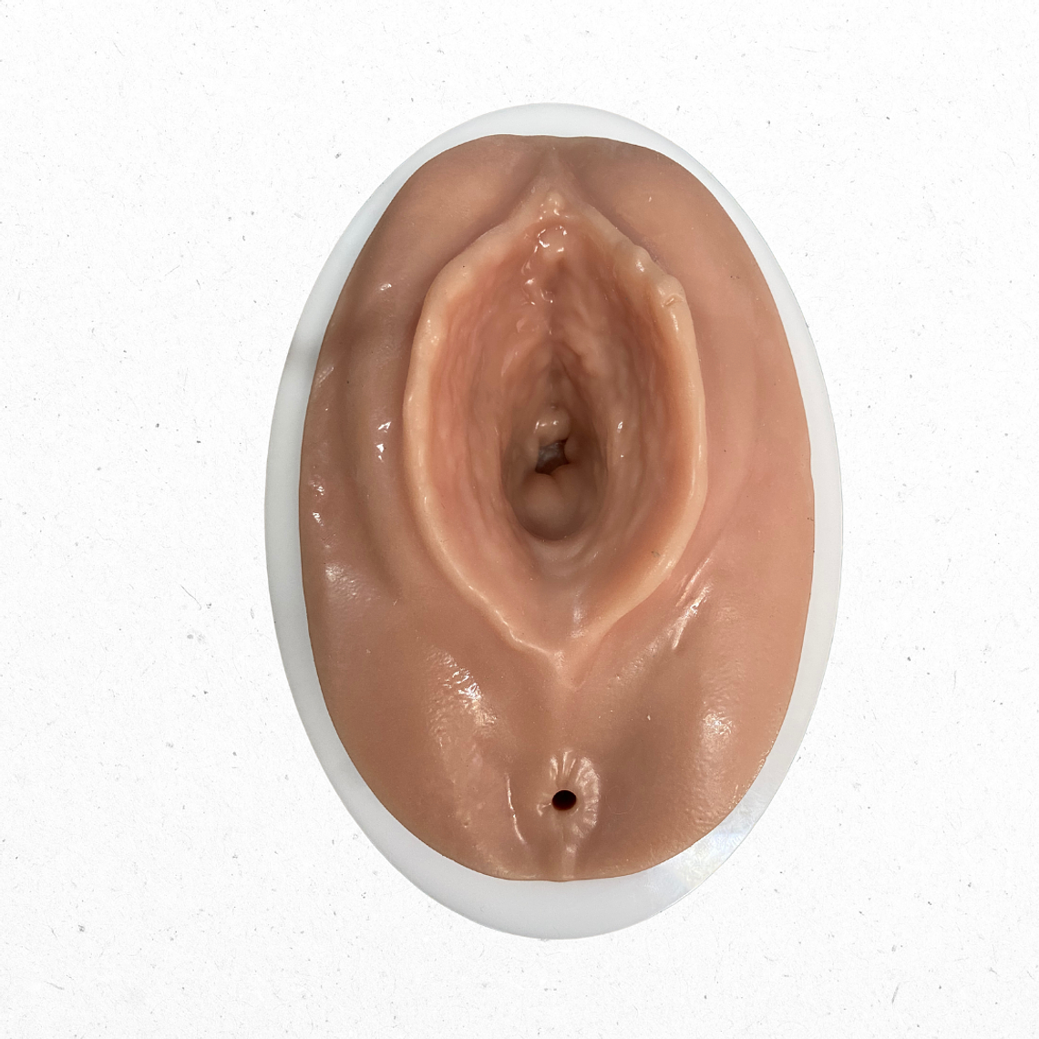 Simulador para episiotomía + episiorrafia 1