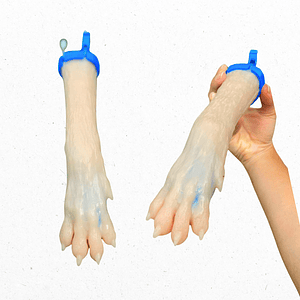 Simulador  venopunción institucional - perro