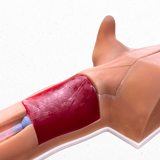 Simulador para colación de catéter central de inserción periférica picc  1