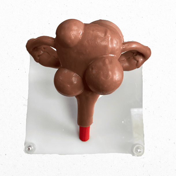 Kit  9 Plataformas de habilidades laparoscópicas 13