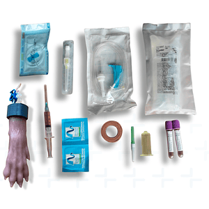 KIT simulador venopunción veterinaria - perro