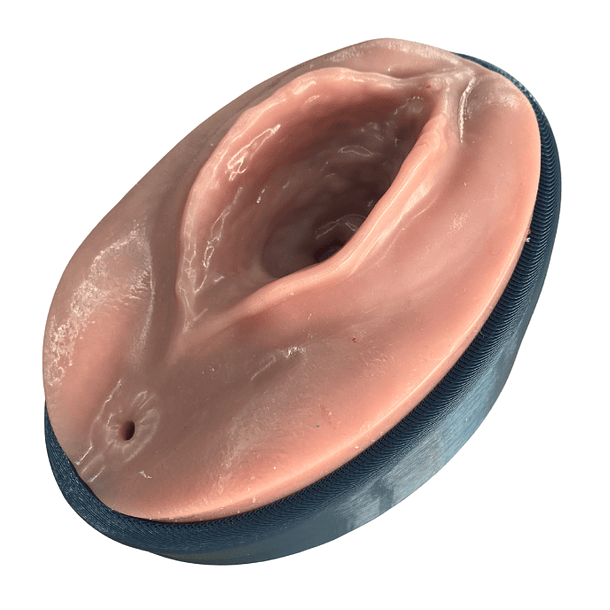 Simulador para episiotomía + episiorrafia 3