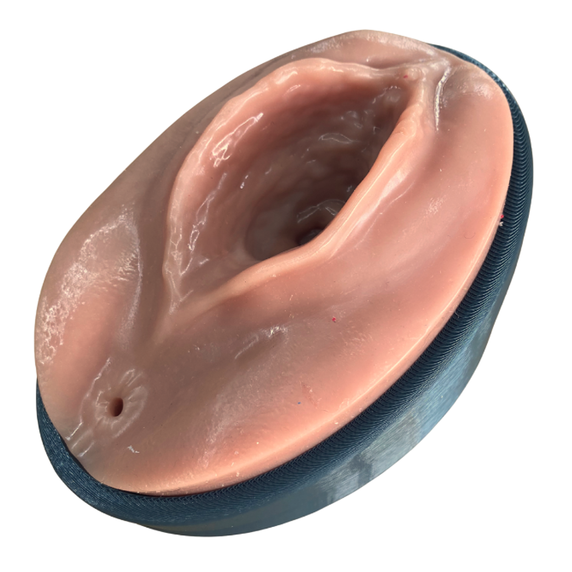 Simulador para episiotomía + episiorrafia 3