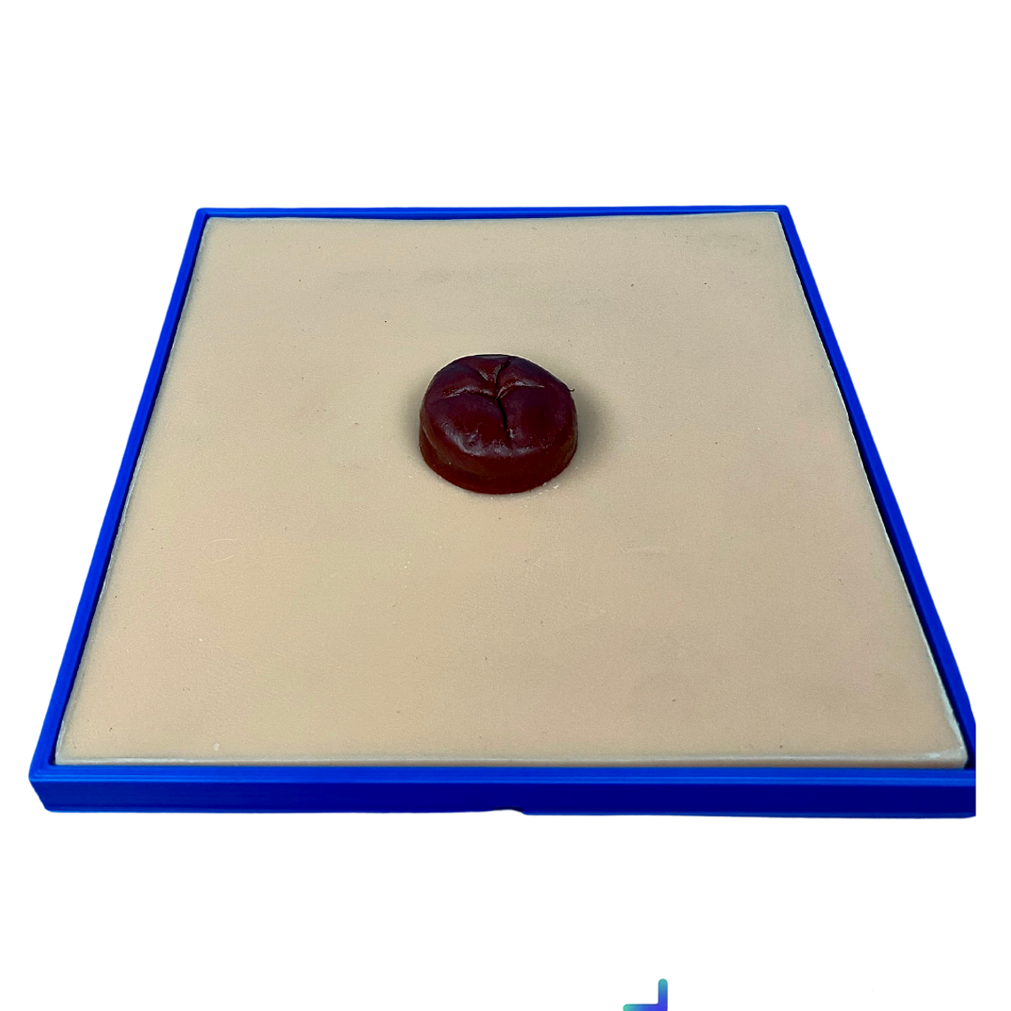 Simulador de cuidados de ostomía 1