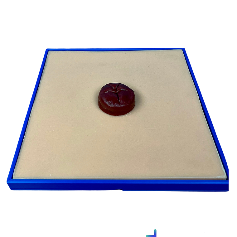 Simulador de cuidados de ostomía 1