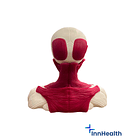 Simulador para aplicación de toxina botulinica tratamiento funcional 3