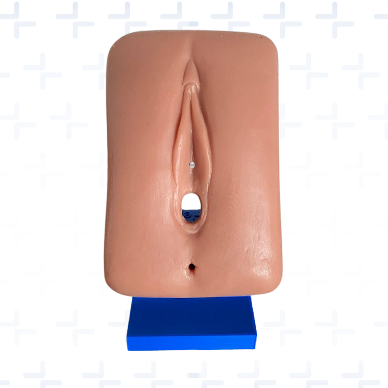 Simulador de paso de sonda y toma de citología 1