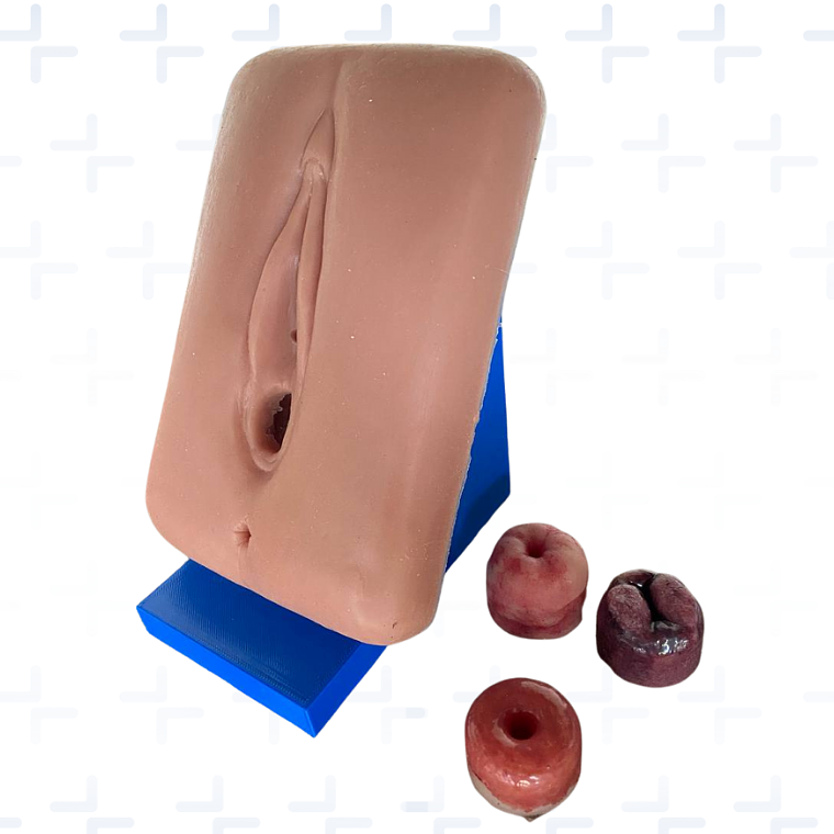 Simulador de paso de sonda y toma de citología 3