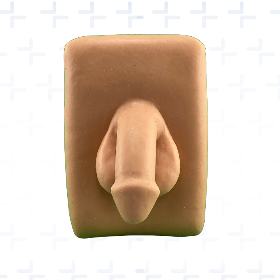 Simulador de paso de sonda vesical masculino 1