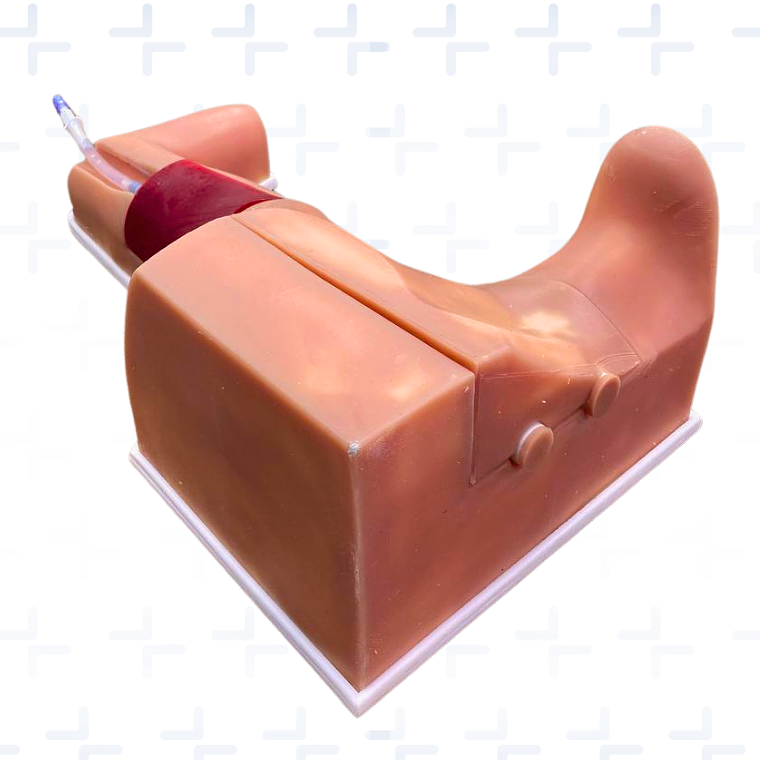 Simulador para colación de catéter central de inserción periférica picc 2