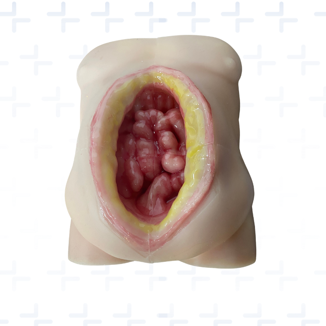 Simulador de abdomen para sistema de presión negativa 1