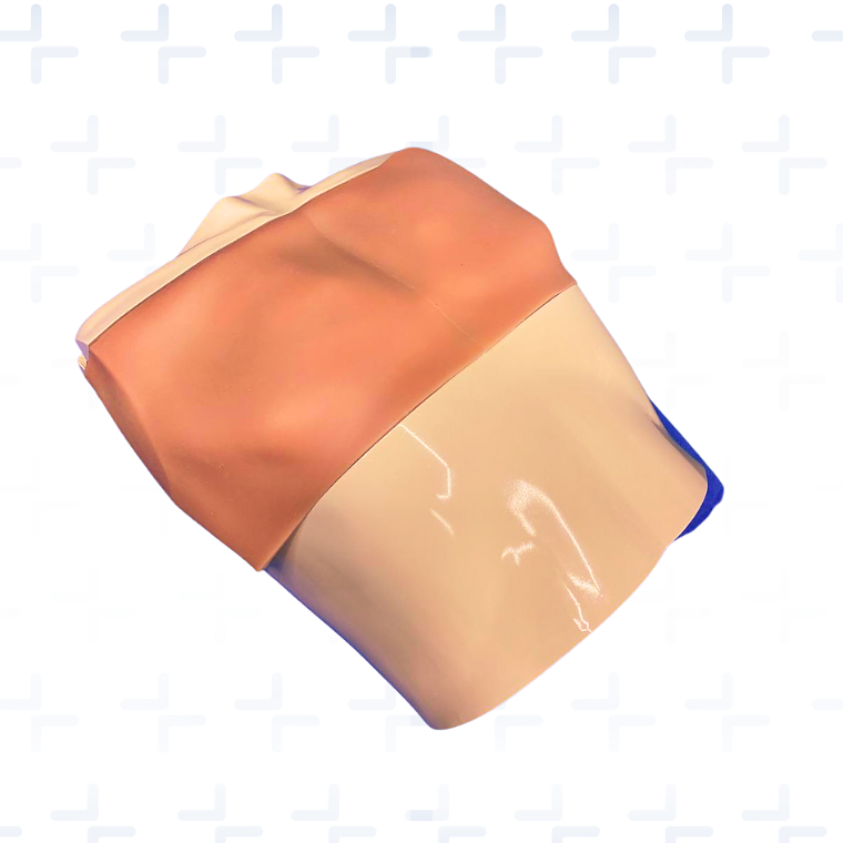 Simulador valvula mitral 1