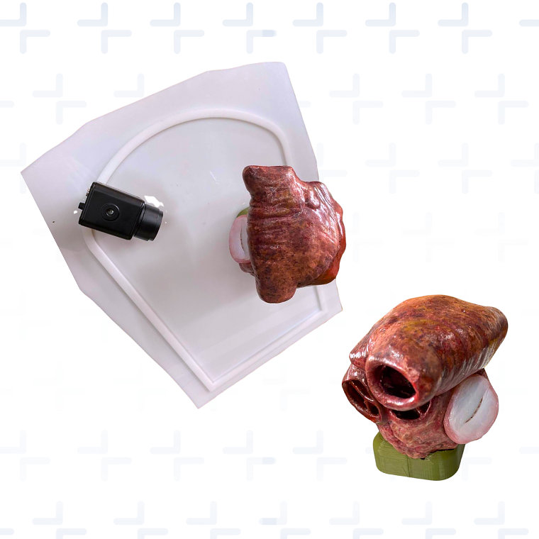 Simulador valvula mitral 2