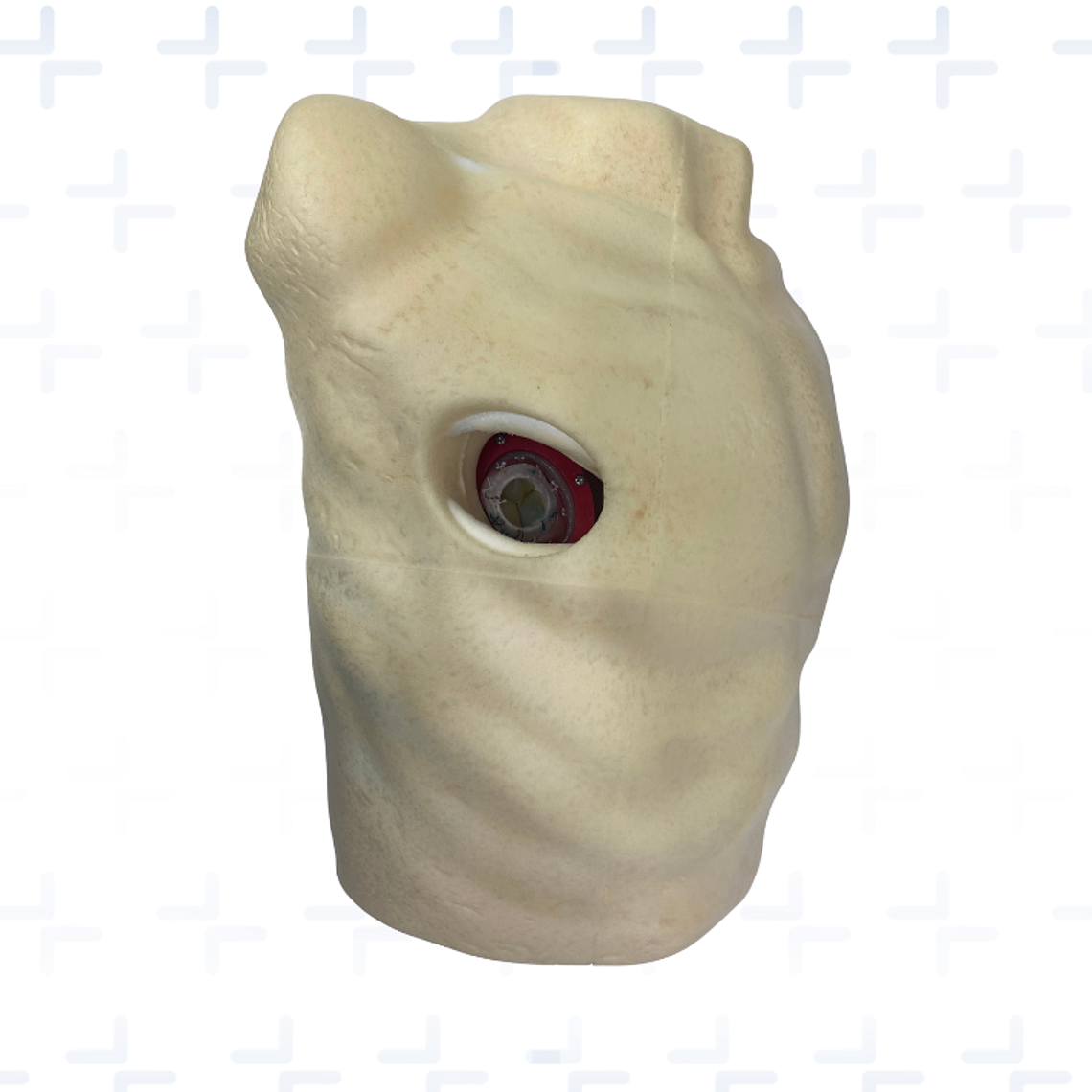 Simulador para reemplazo valvula mitral por visión directa 1