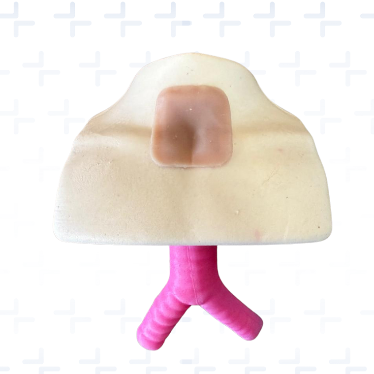 Simulador cuidados de traqueostomia 1