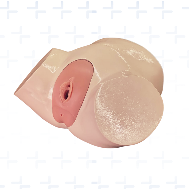 Pelvis de paso de sonda vesical con genitales intercambiables 2