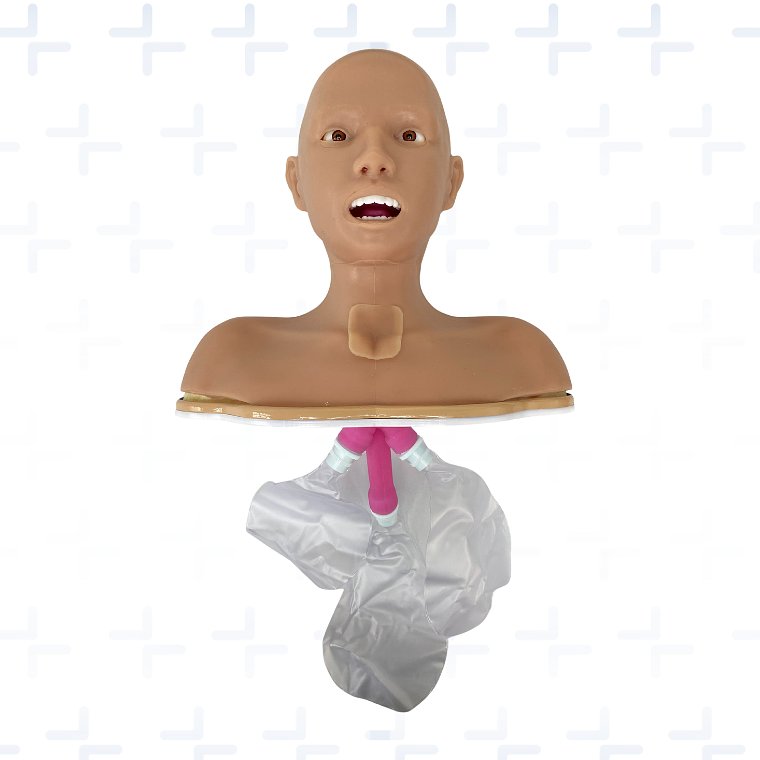 Simulador para intubación endotraqueal y colocación de traqueostomia 1