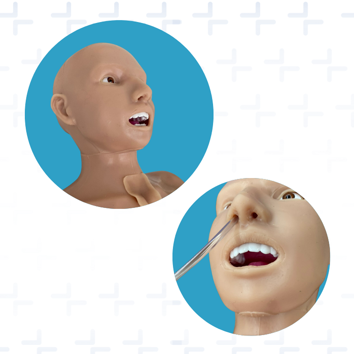 Simulador para intubación endotraqueal y colocación de traqueostomia 2