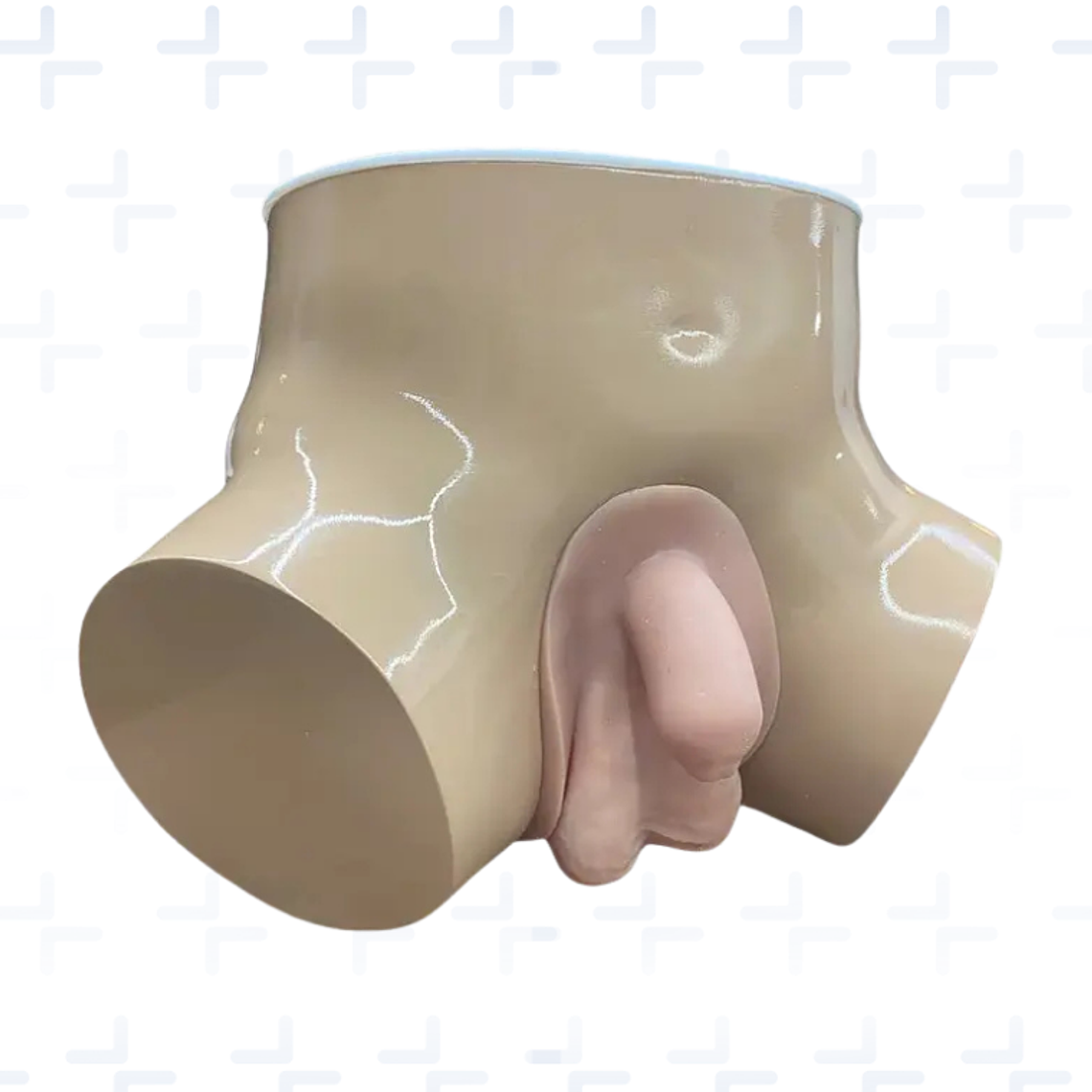 Simulador de paso de sonda vesical y palpación de próstata 2